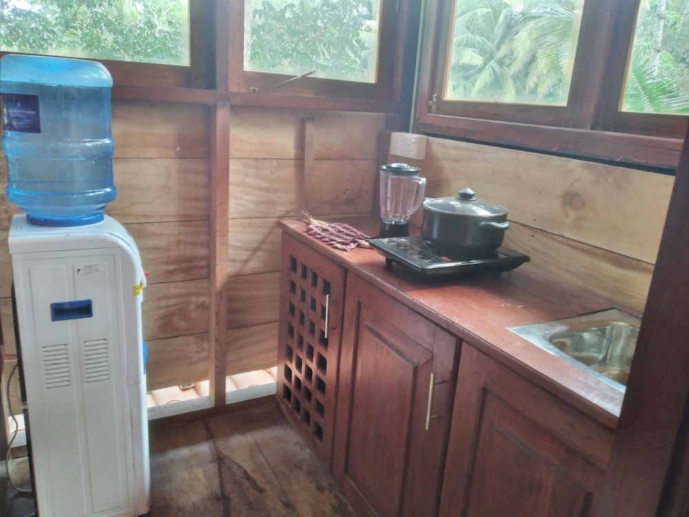 Green Herbal Ayurvedic Eco-Lodge 54/54