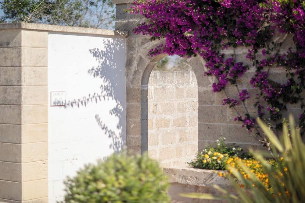 Hotel Resort Mulino A Vento 4/50