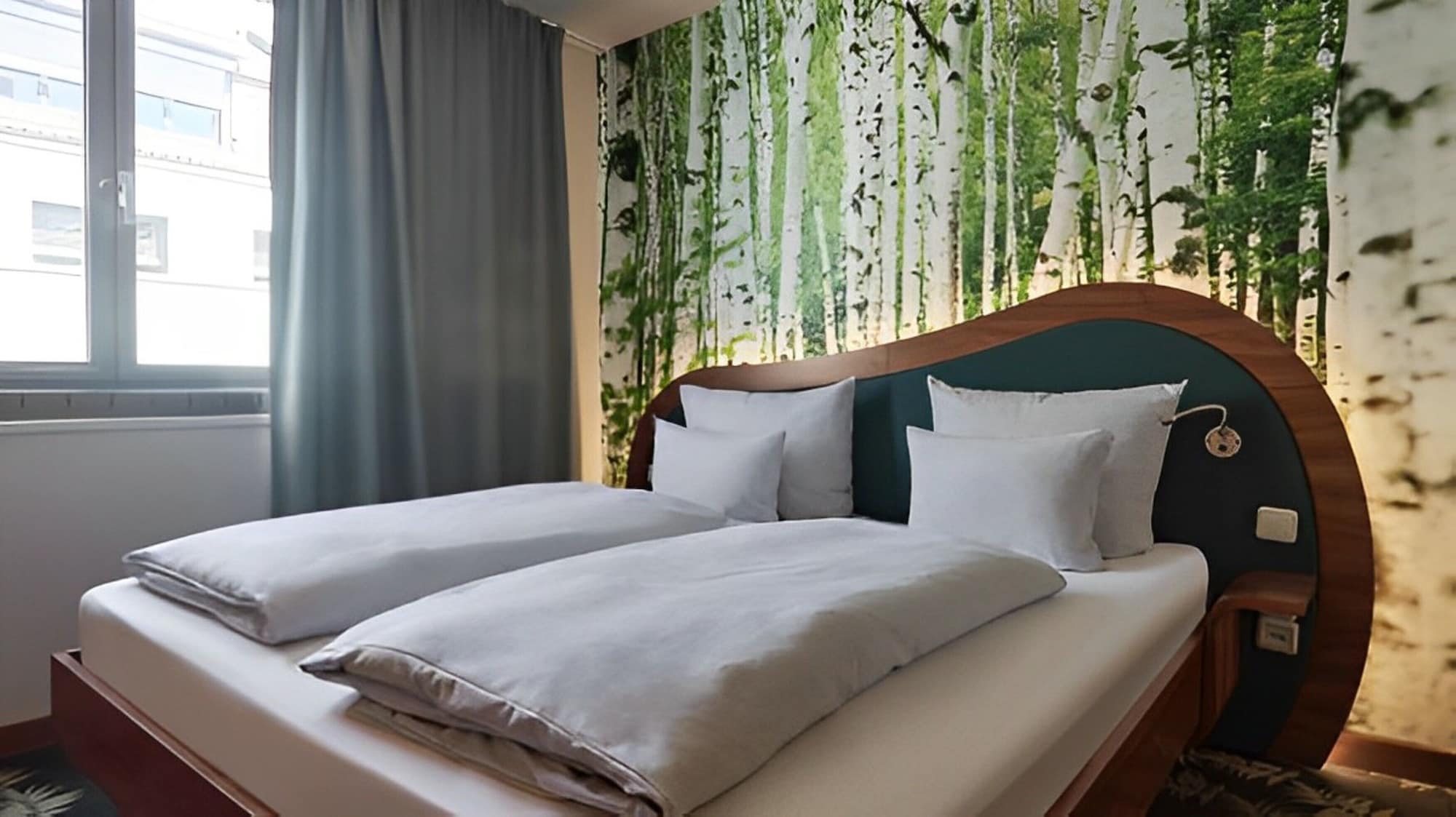 Room, Single, Queen Bed, COCOON STACHUS 4/7