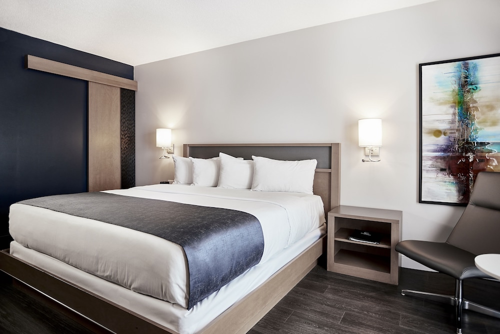 Hotel Cofortel 29/65