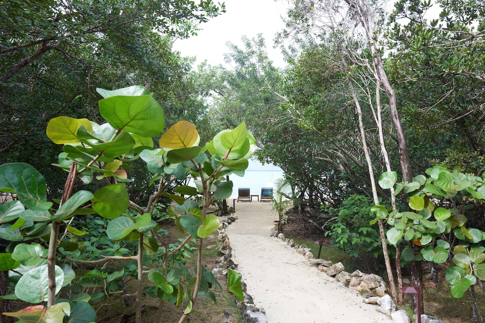 Tiamo Resort 43/49