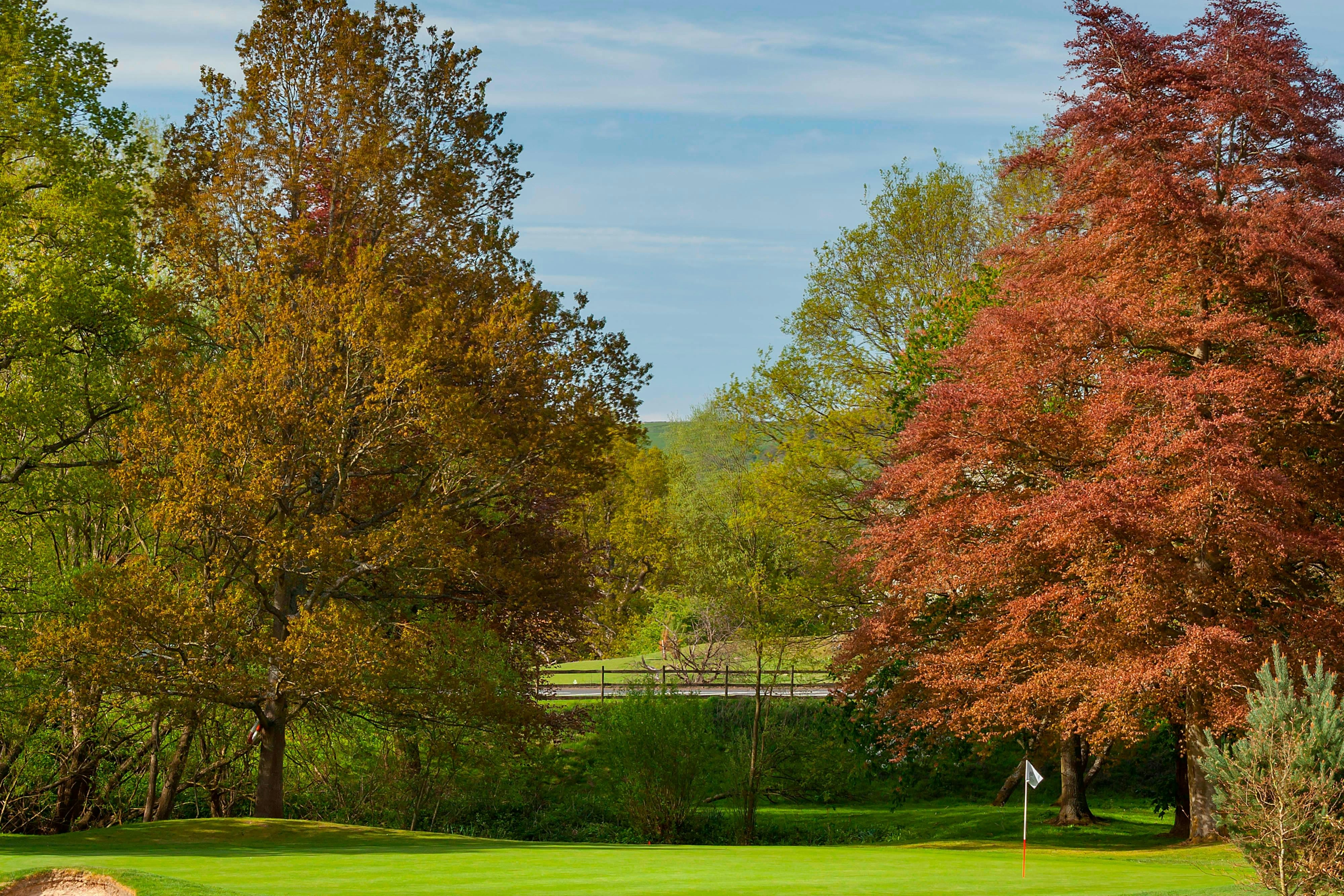 Delta Hotels by Marriott Tudor Park Country Club 42/47
