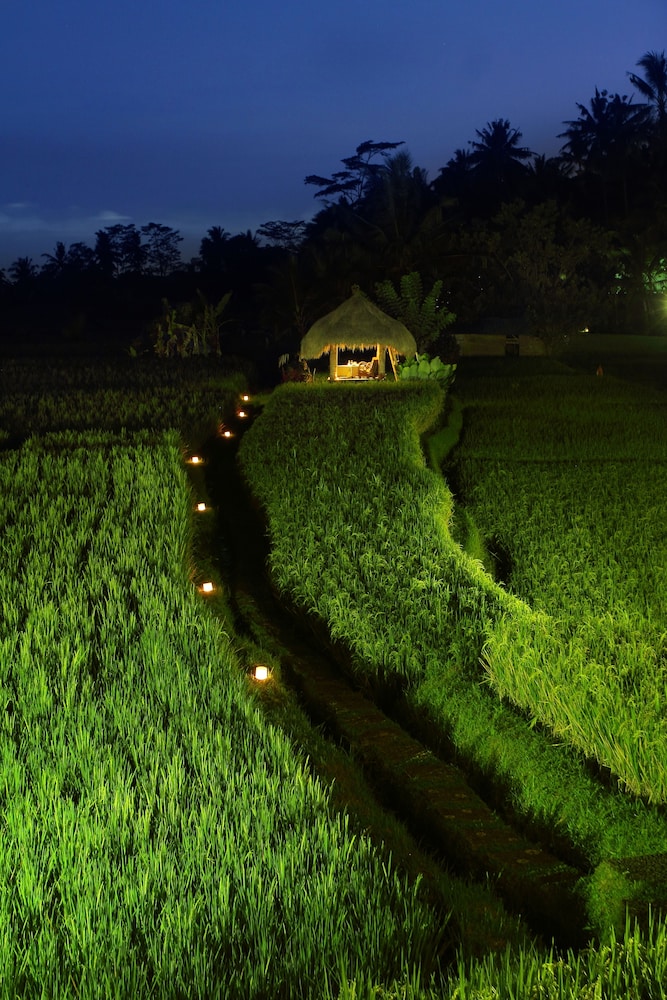 Mathis Retreat Ubud 25/46