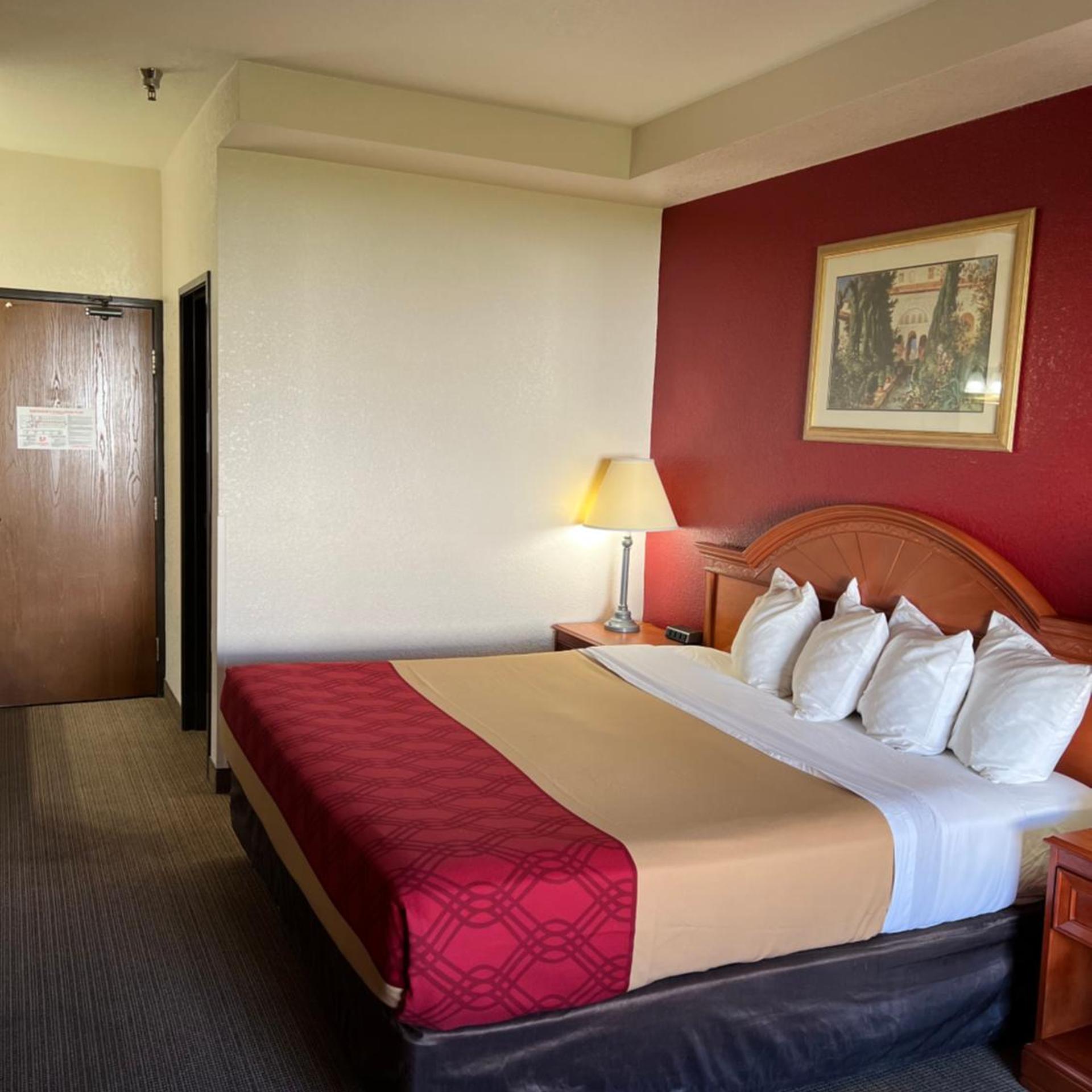 Efficiency, Suite, King Bed