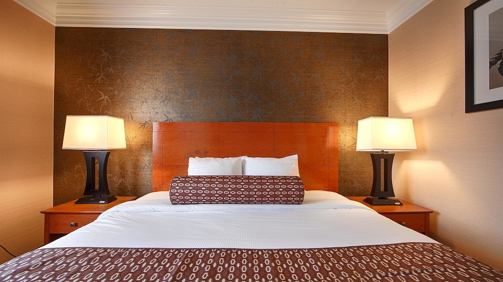 Best Western The Inn At Rochester Airport 12/37