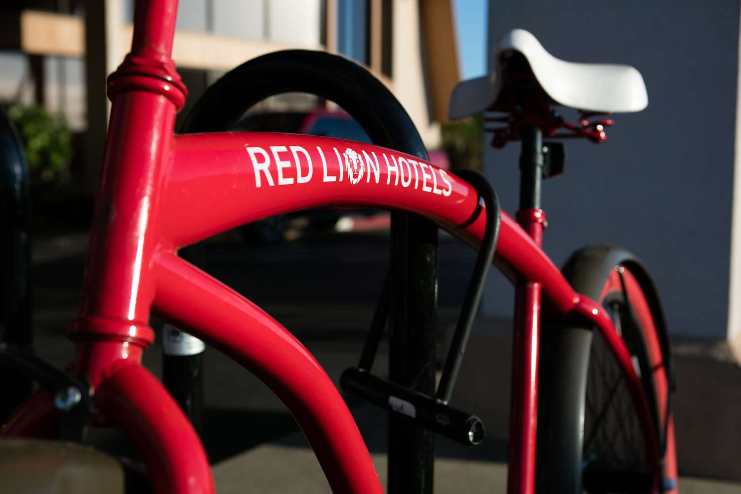 Red Lion Redding 26/63