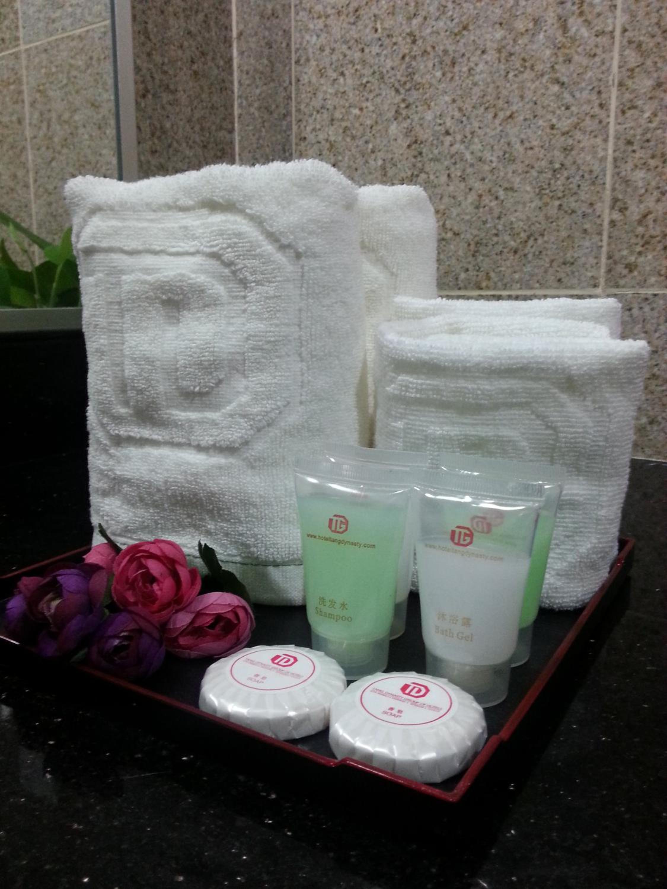 Td Plaza Hotel 21/50