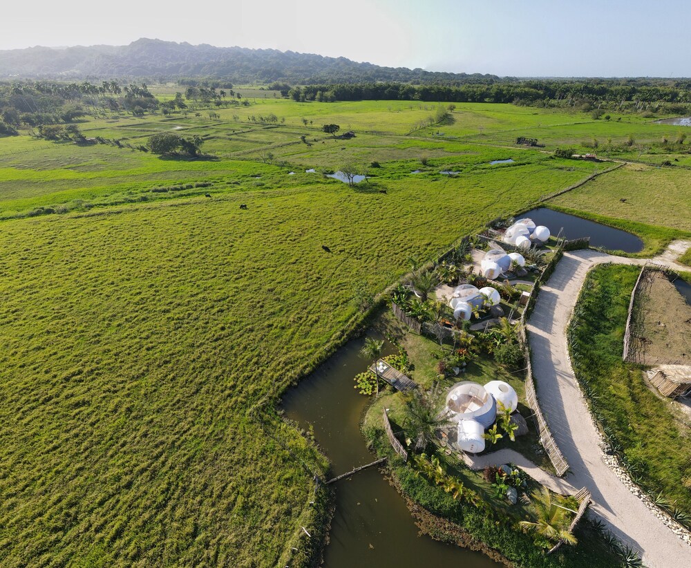 Green Land Bubble Glamping 46/60