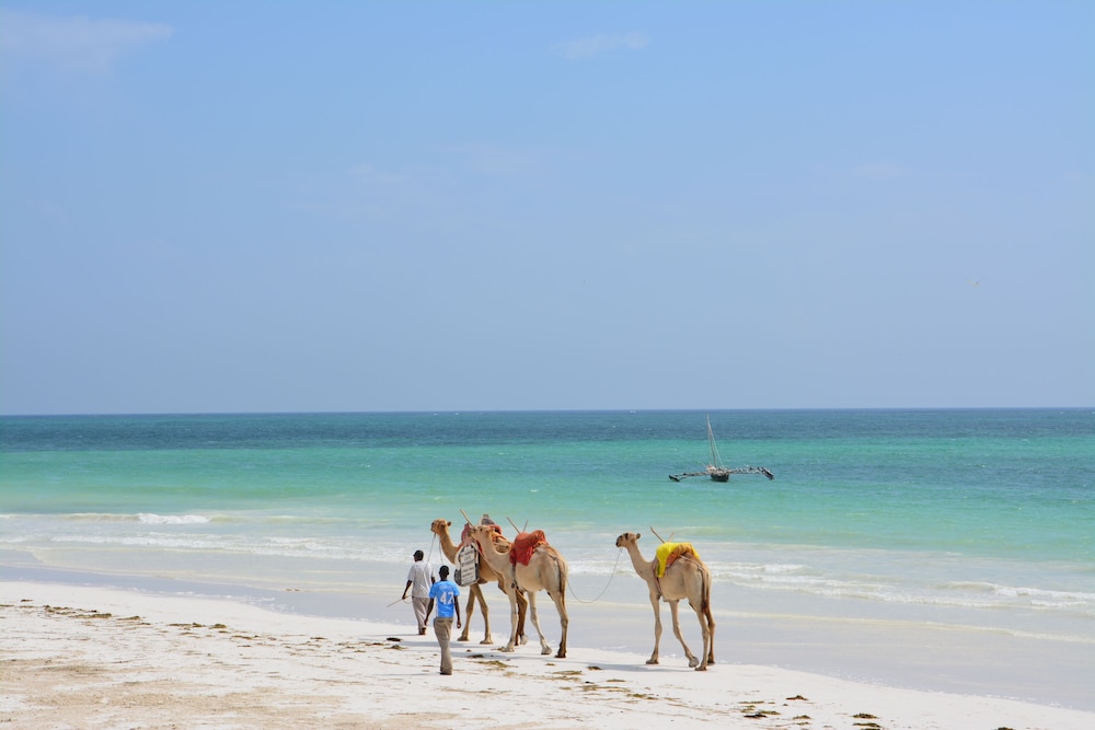 Neptune Paradise Beach Resort & Spa 26/47