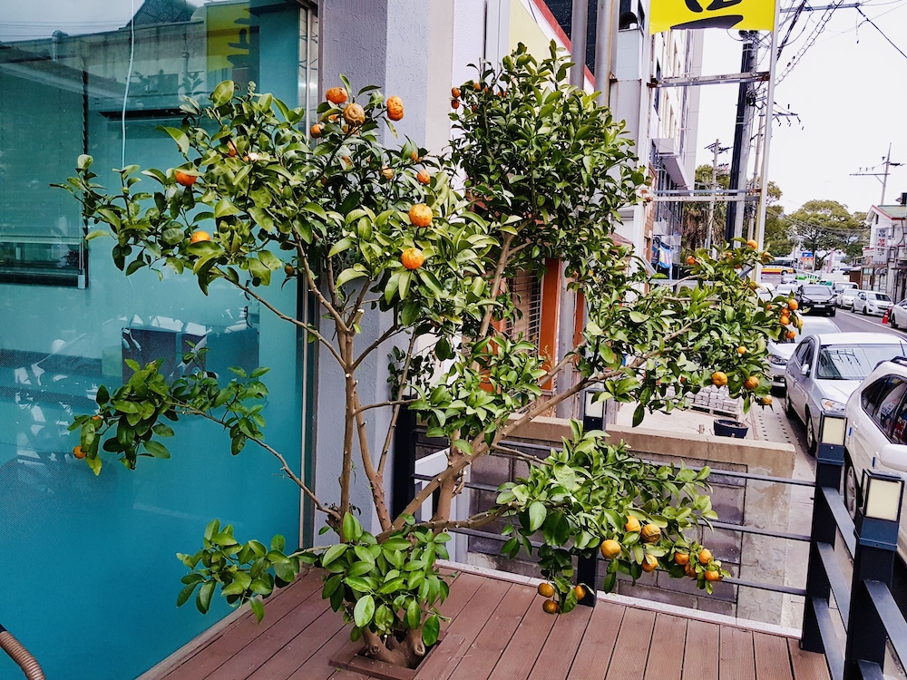 Gallery Hotel Be 50/50