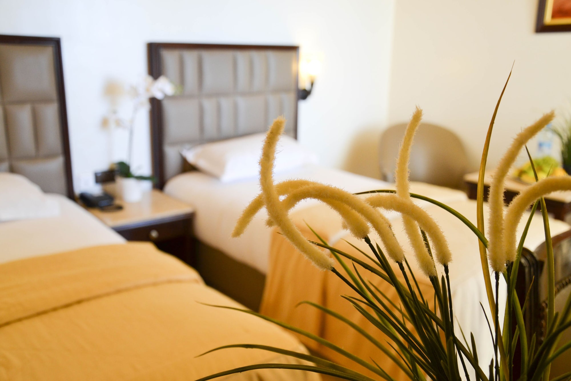 غرفة قياسية بسريرين منفصلين، Azur Hotel 4/5