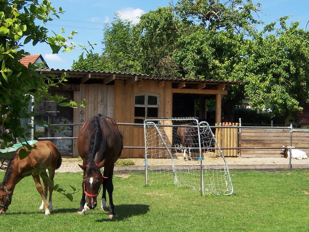 Landhotel Zum Adler 45/50