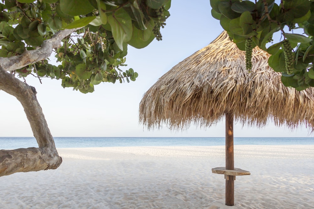 Manchebo Beach Resort & Spa 72/74