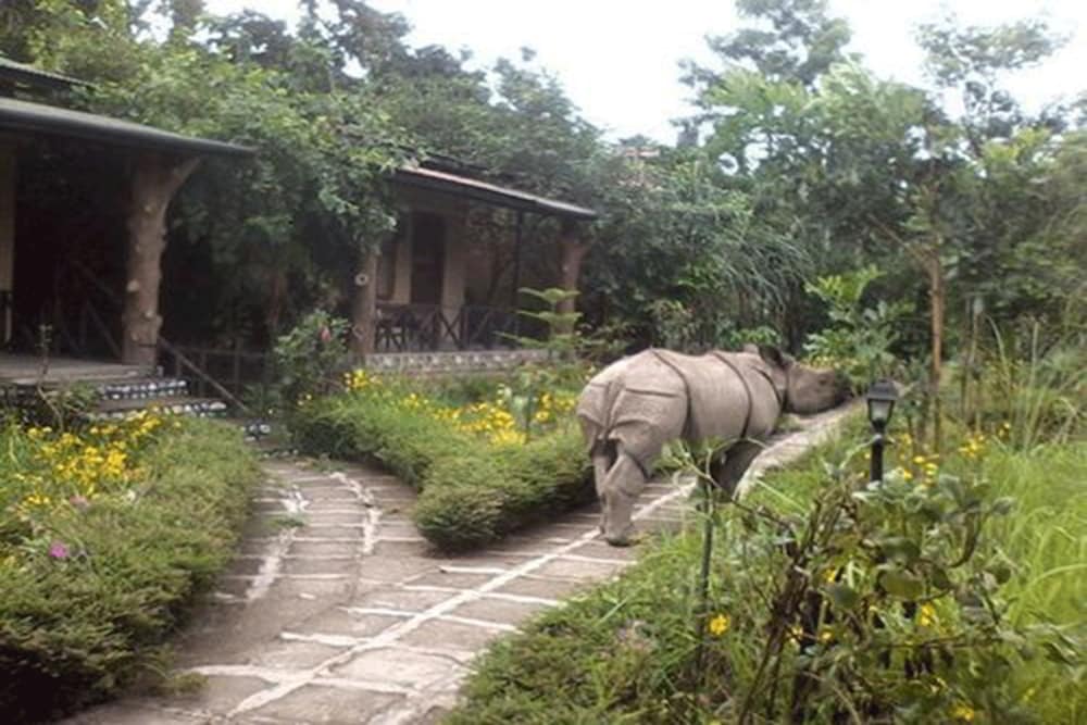 Chitwan Gaida Lodge 12/18