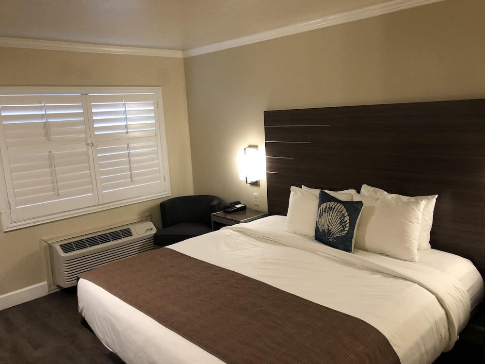ROOM, KING BED