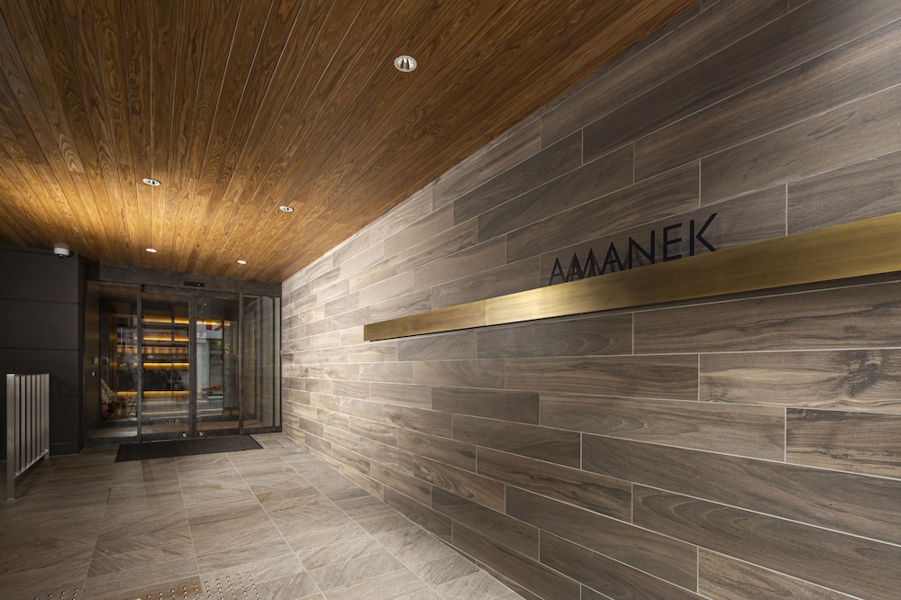 Hotel Amanek Kamata Ekimae 39/49