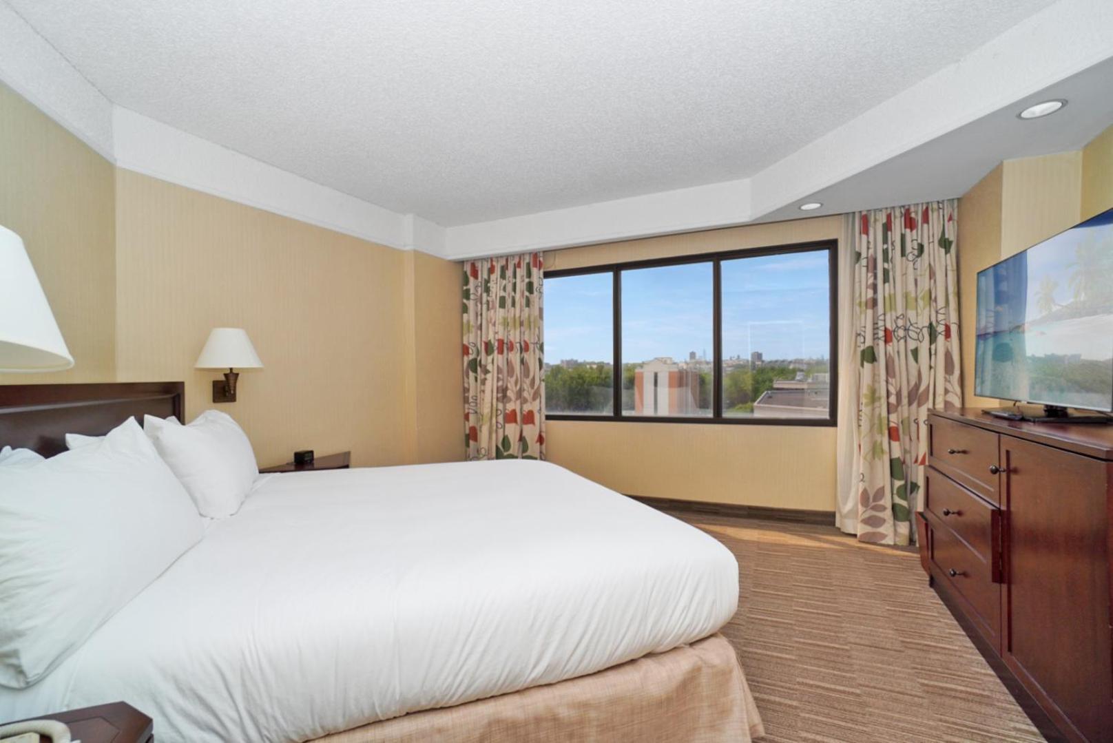 جناح