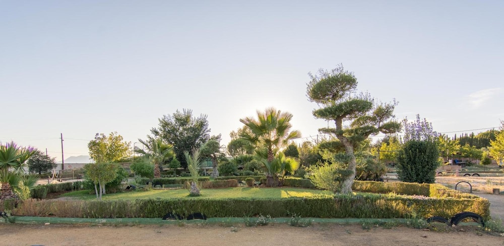 El Cortijo 27/50
