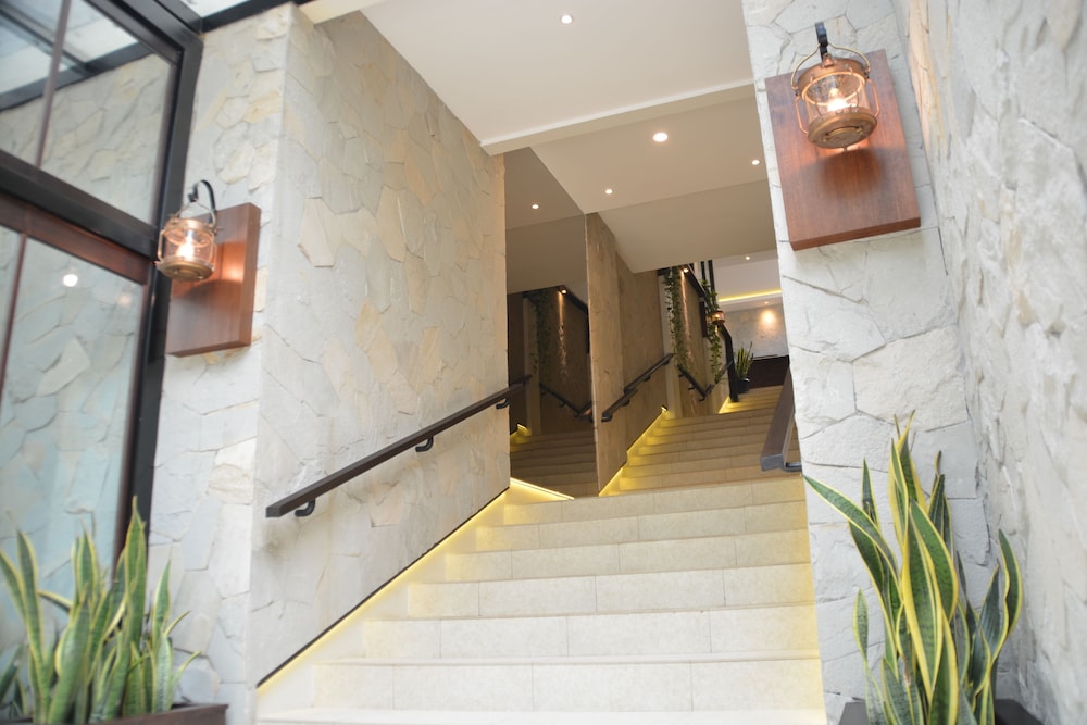 Treehouse Suites 7/50