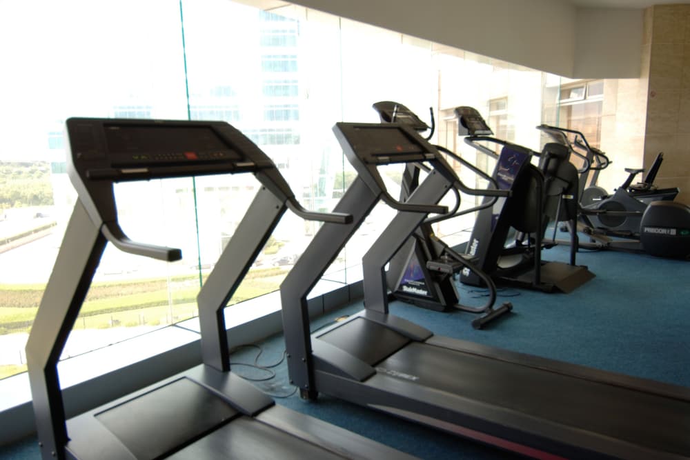 Ramada Plaza by Wyndham Pudong 25/46
