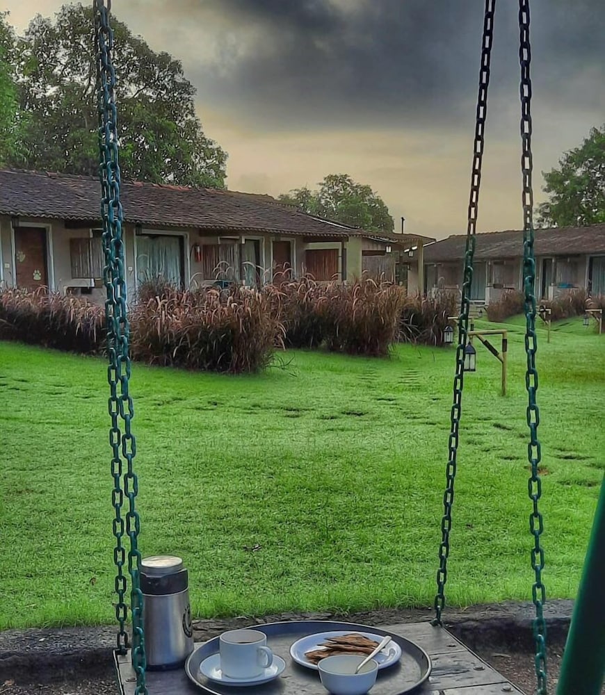 Asiatic Lion Lodge 40/50