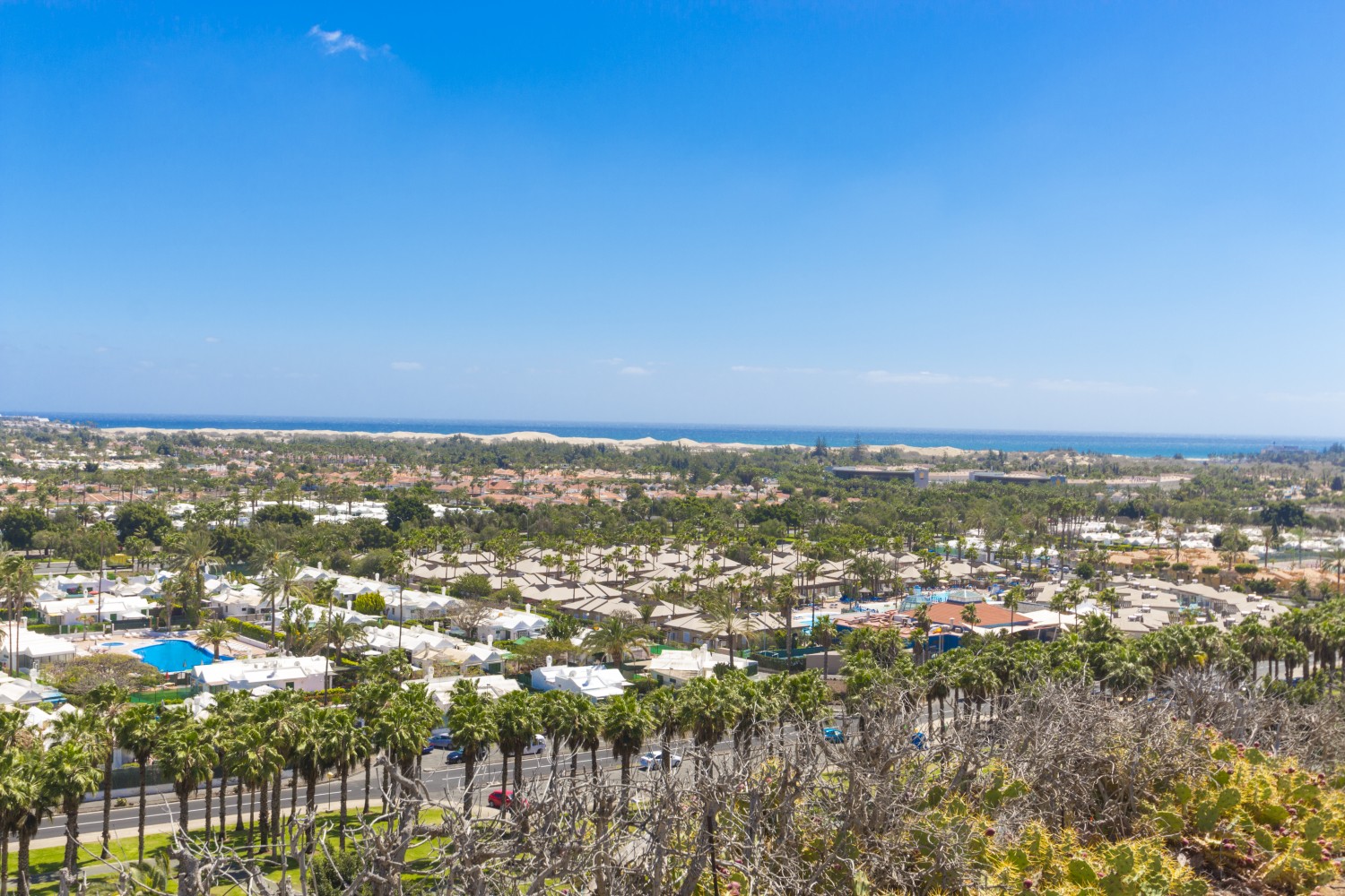 Vista Oasis Bungalows 42/50