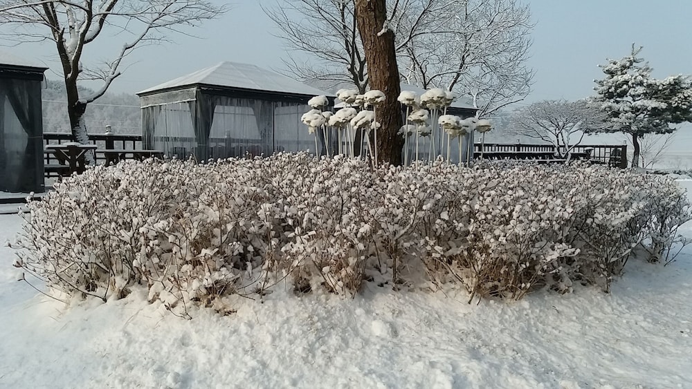 Forest Of Color Pension 43/50