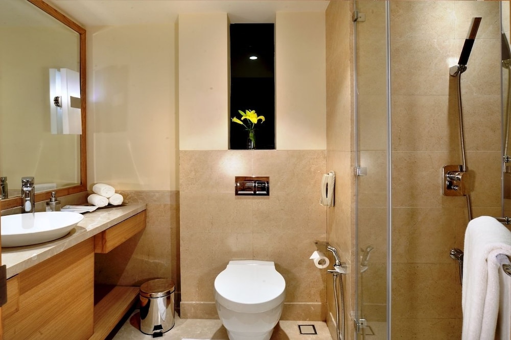 Golden Sarovar Portico 14/59