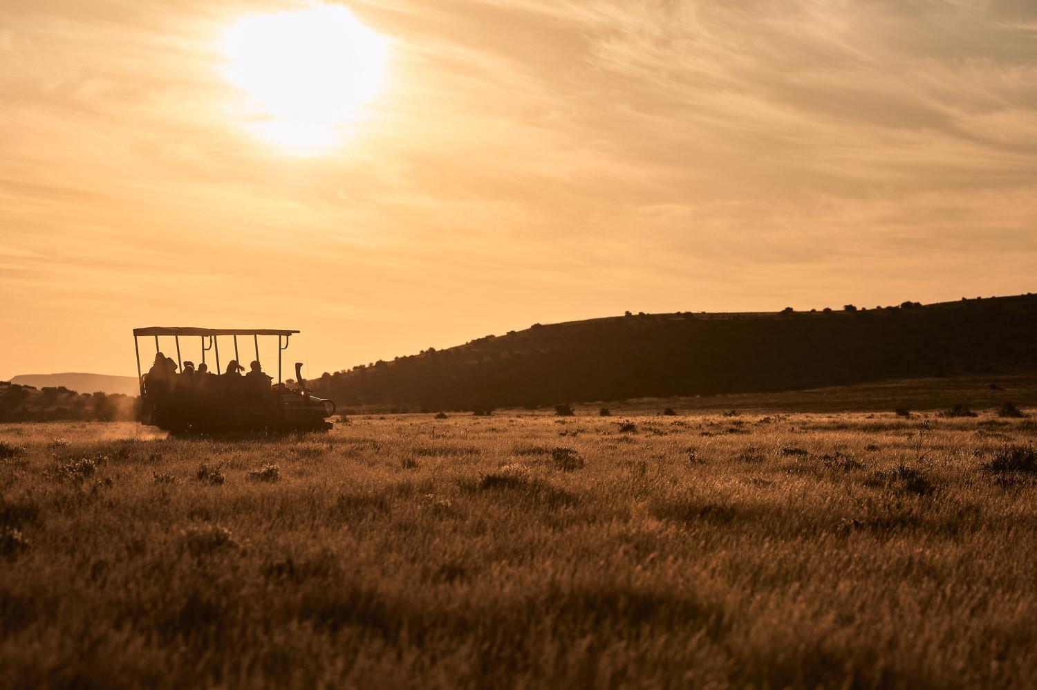 Glen Harry Game Reserve 21/44