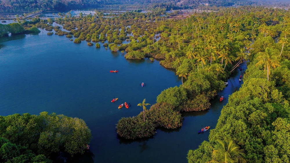 Fragrant Nature Backwater Resort & Ayurveda Spa 44/50
