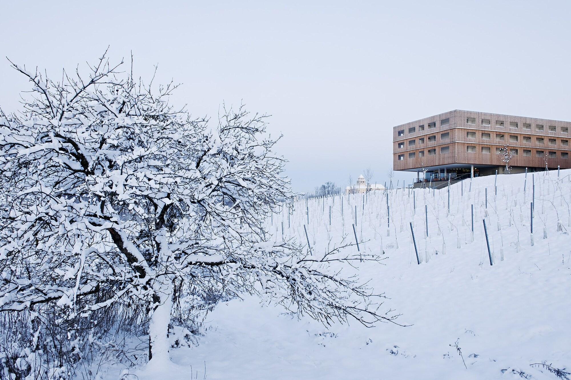 Loisium Wine & Spa Resort Sudsteiermark 28/55