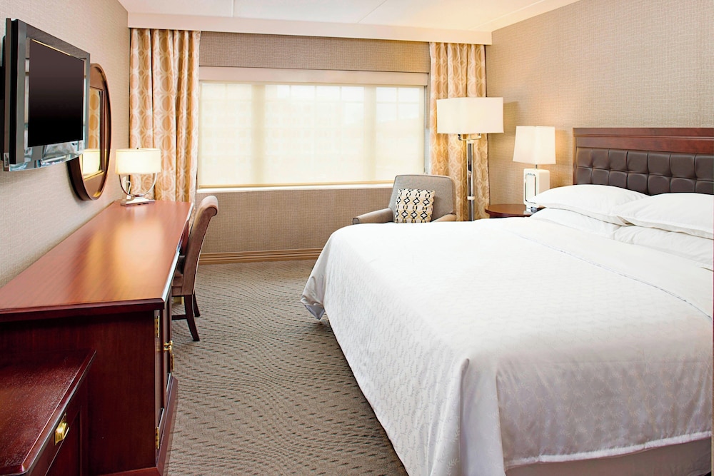 Room at Sheraton Rockville Hotel, ROCKVILLE - MD