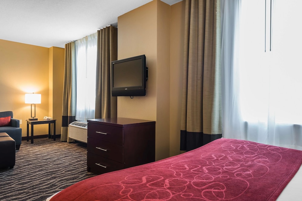 Comfort Suites Tampa Airport North 14/35
