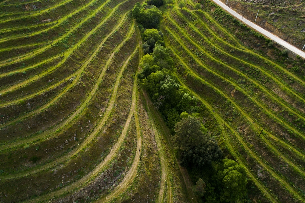 Vila Gale Douro Vineyards 65/71