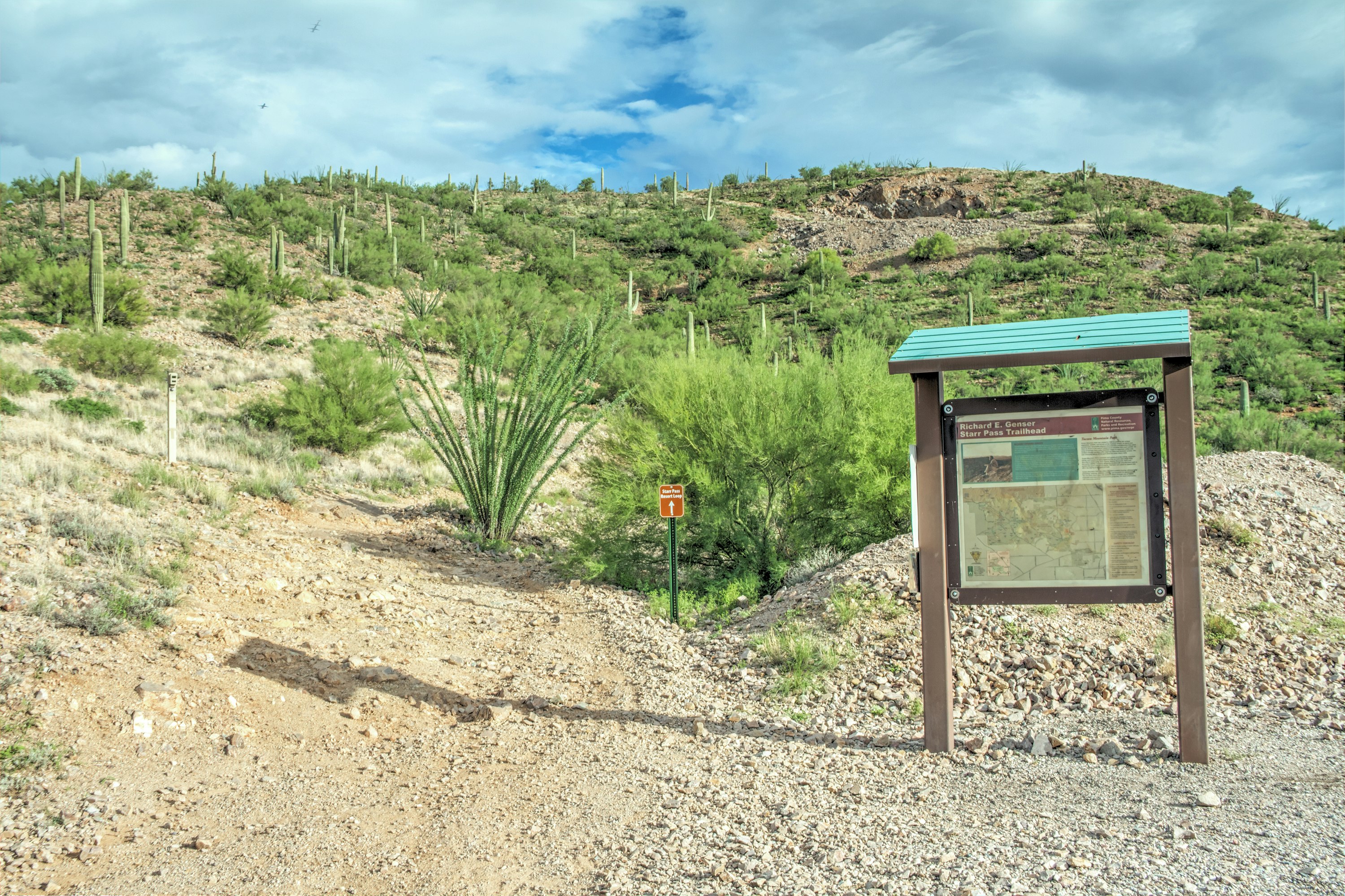 Starr Pass Golf Suites 24/50