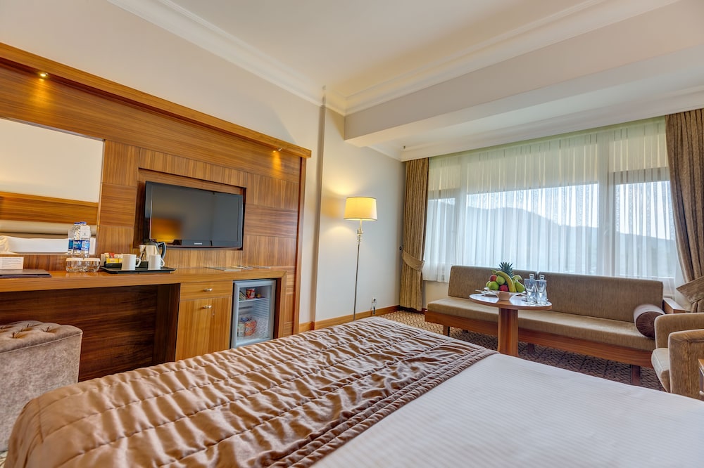 Buyuk Abant Hotel 14/50