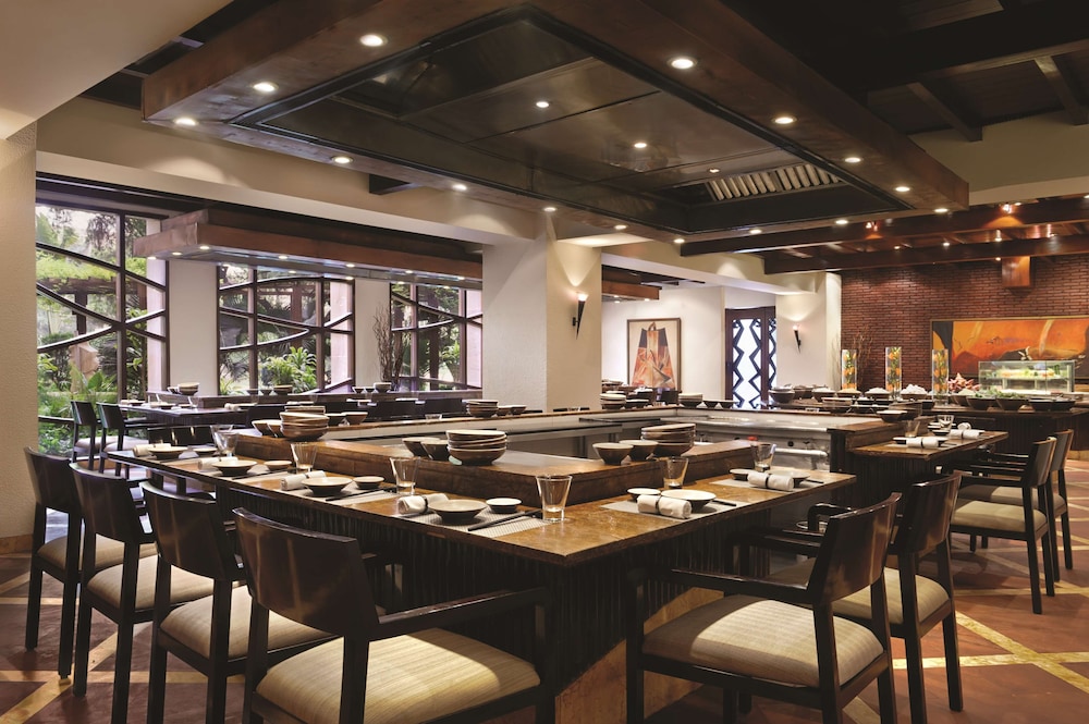 Hyatt Regency Delhi 53/72