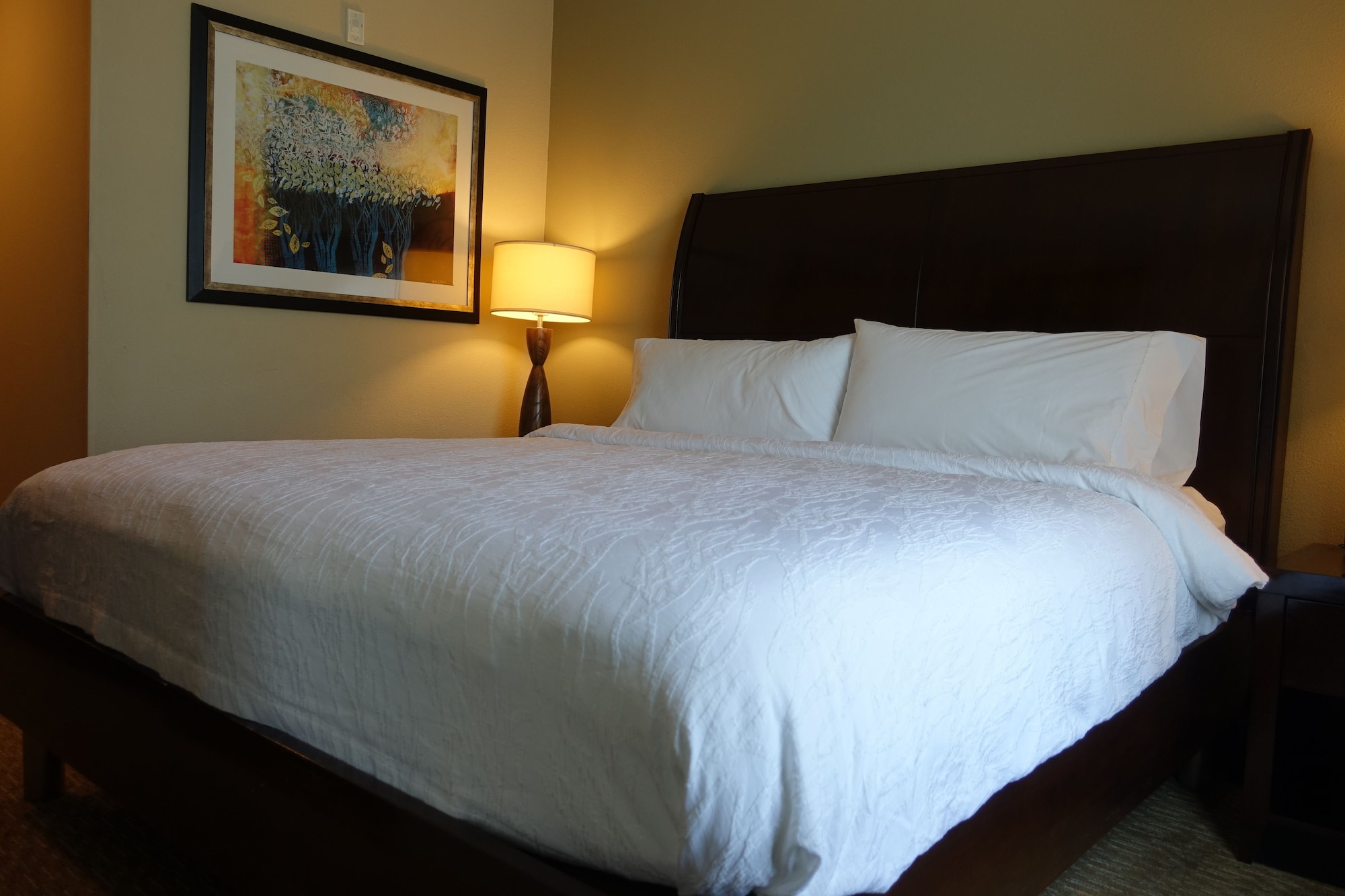 Evolution, Junior Suite, King Bed