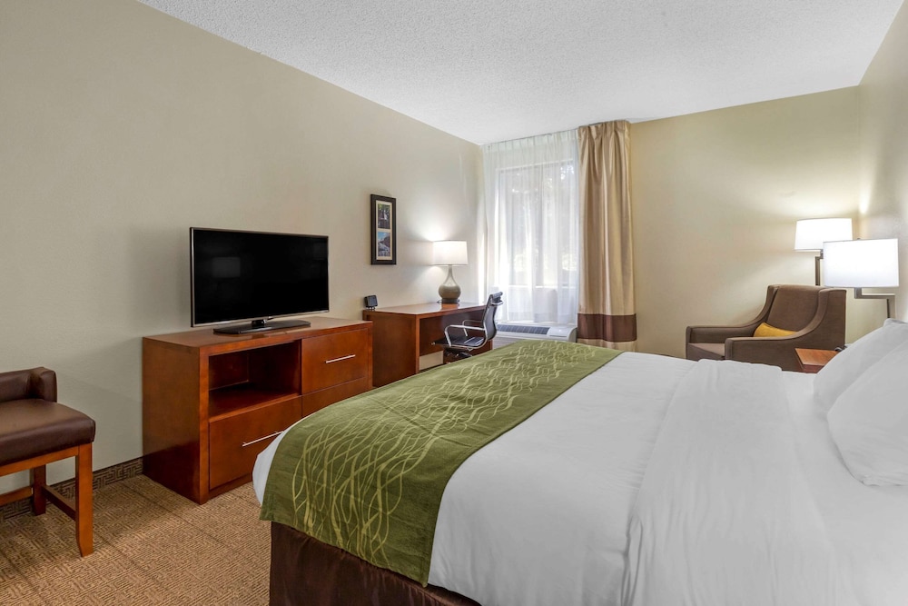 Comfort Inn & Suites Lenoir Hwy 321 Northern Foothills 19/40