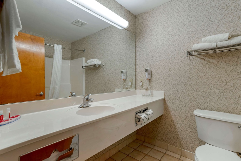 Econo Lodge Inn & Suites Flowood - Jackson Northeast 15/35