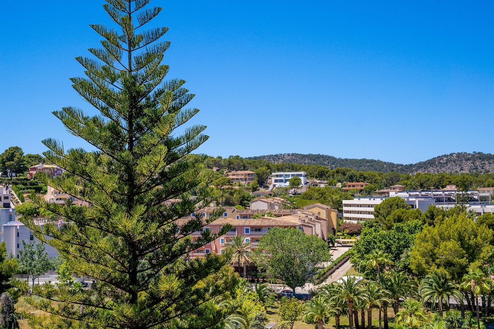 Apartaments las Palomas Econotels 46/55