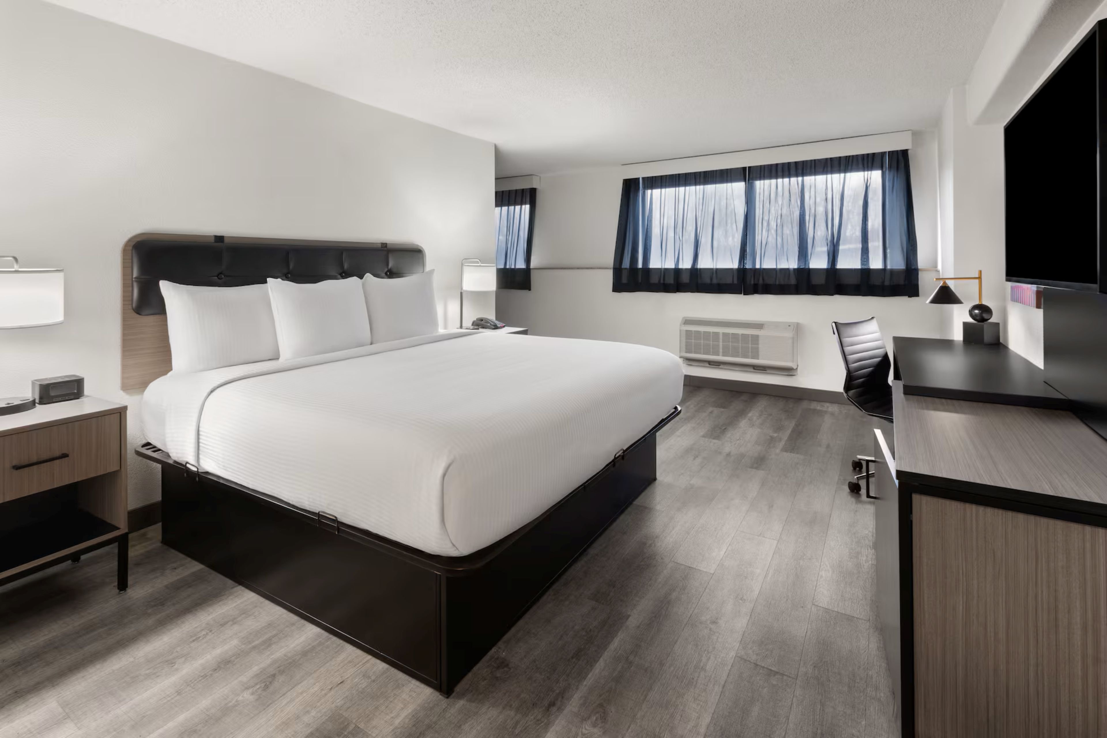 Suite, King Bed