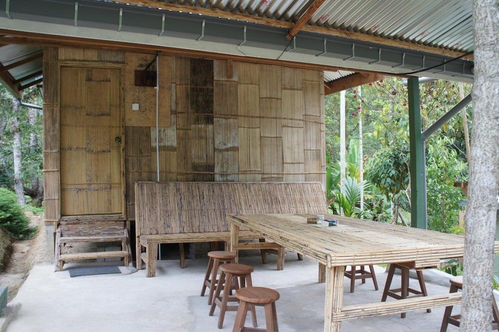 Rain Forest Inn 48/66