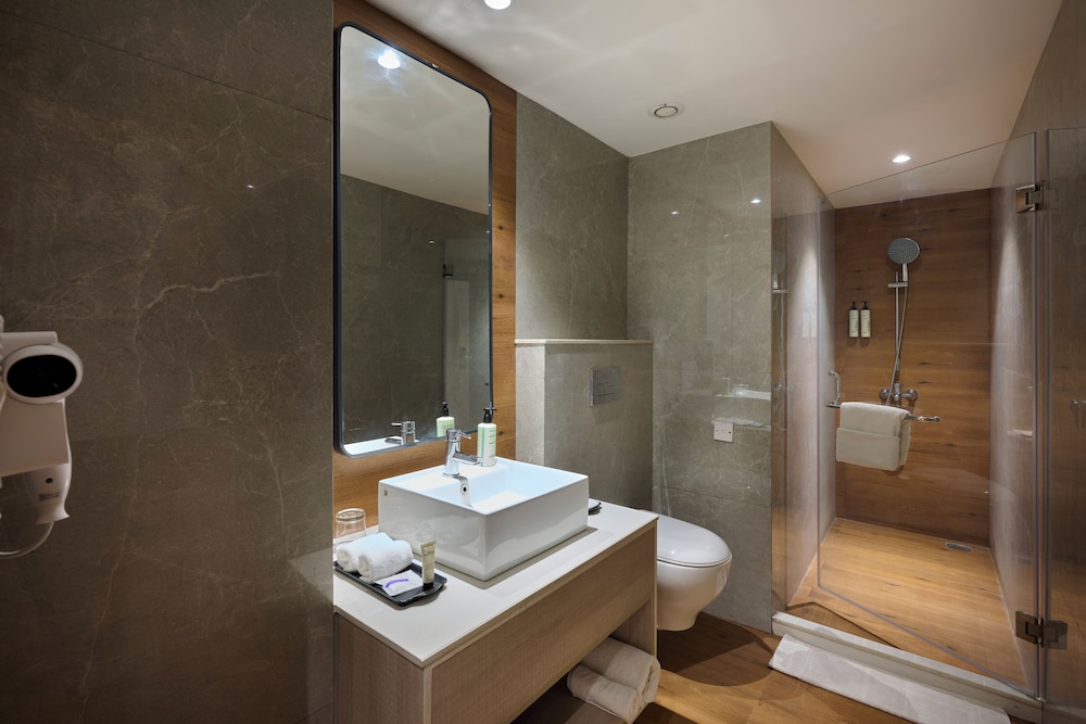 Delite Sarovar Portico Faridabad 30/30