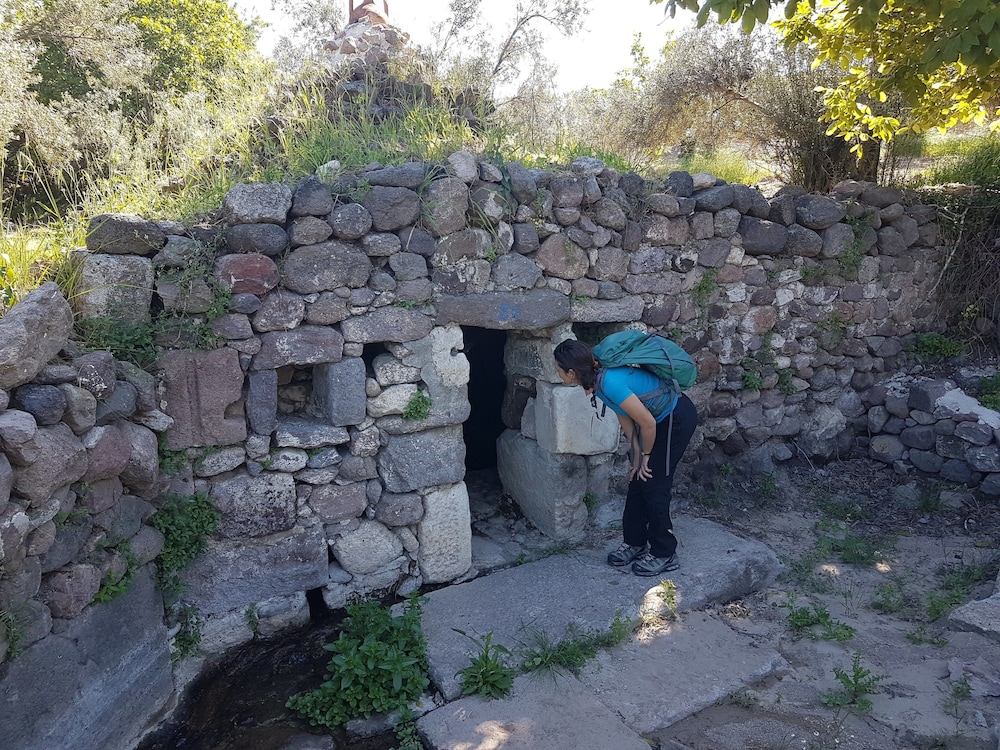 Alterna Koy Evi 20/50