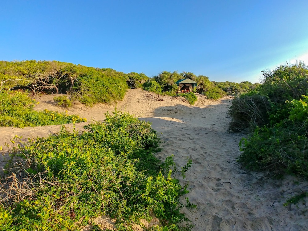 Back Of Beyond Dune Camp - Yala 32/48