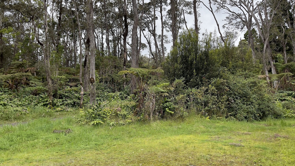 Volcano Forest Inn 41/50