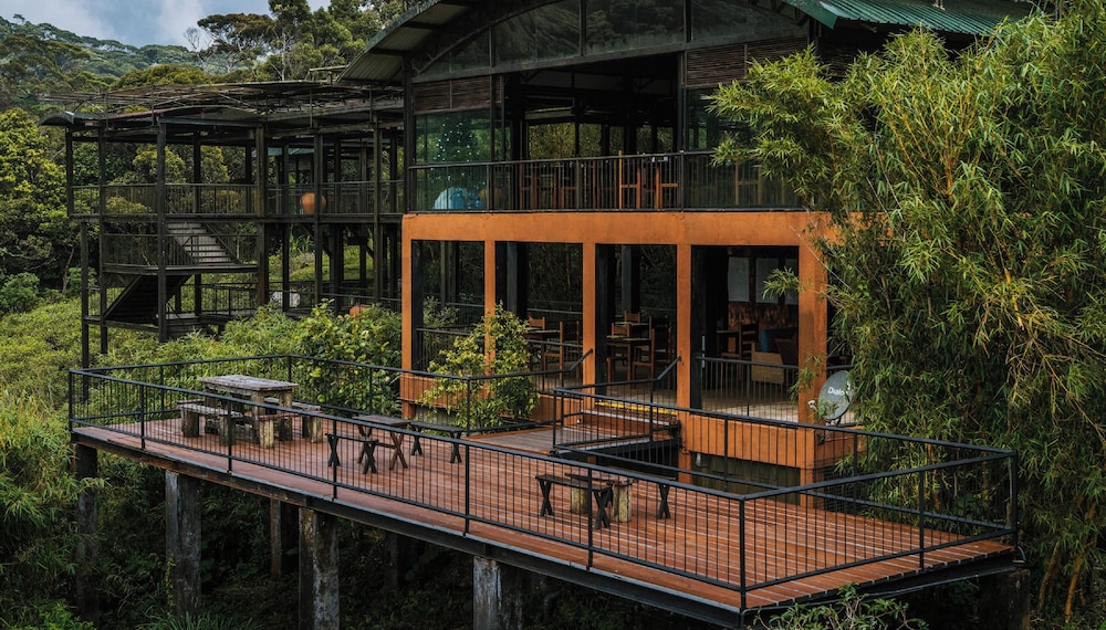 Rainforest Eco Lodge in Sooriyakanda