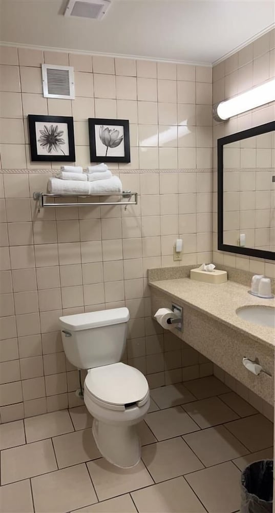 Hotel Flamingo Inn & Suites Vero Beach I-95 51/54