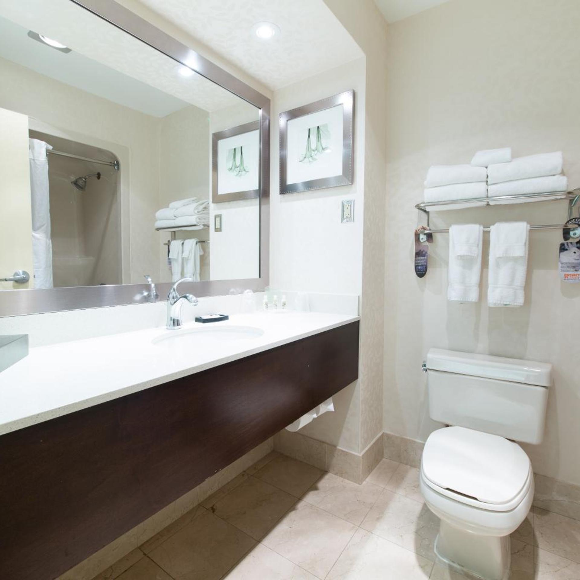 جناح بسرير كينج مع أريكة، Holiday Inn Suites Windsor Ambassador Bridge 6/10